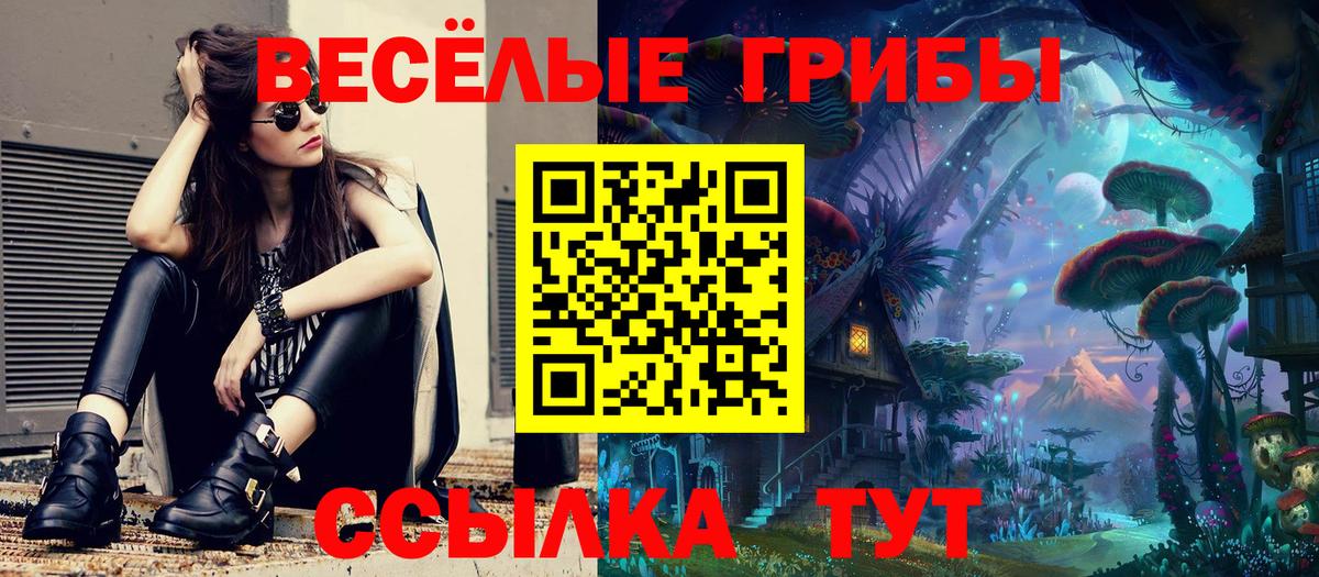 Псилоцибиновые грибы GOLDEN TEACHER Альметьевск
