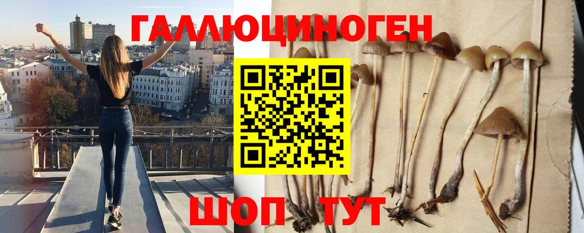 Альметьевск  Галлюциногенные грибы MAGIC MUSHROOMS  купить   Галлюциногенные грибы Magic Shrooms  Вход с VPN 